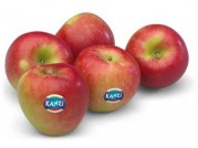 MANZANA KANZI